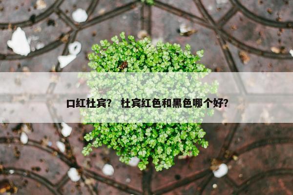 口红杜宾？ 杜宾红色和黑色哪个好？