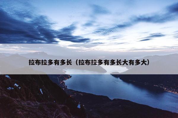 拉布拉多有多长（拉布拉多有多长大有多大）