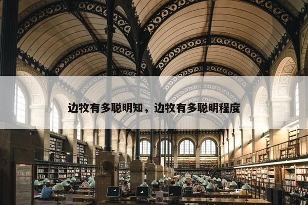 边牧有多聪明知，边牧有多聪明程度