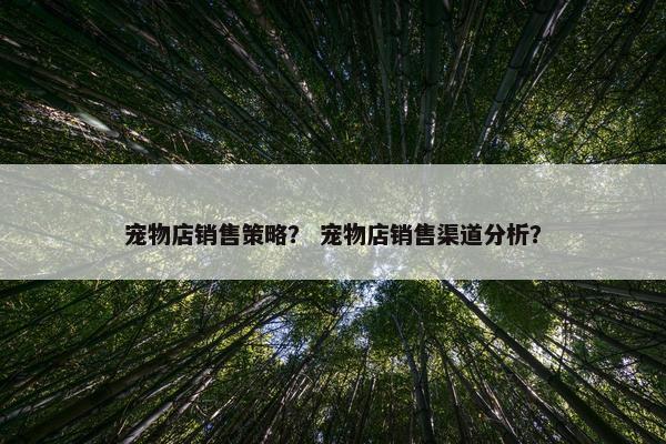 宠物店销售策略？ 宠物店销售渠道分析？