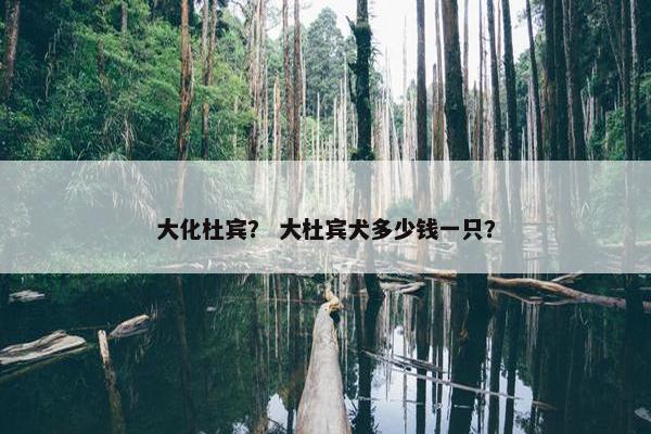 大化杜宾？ 大杜宾犬多少钱一只？