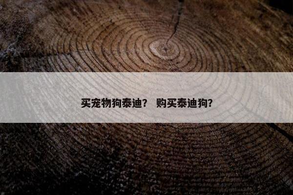 买宠物狗泰迪？ 购买泰迪狗？