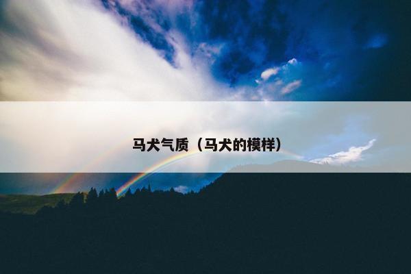 马犬气质（马犬的模样）