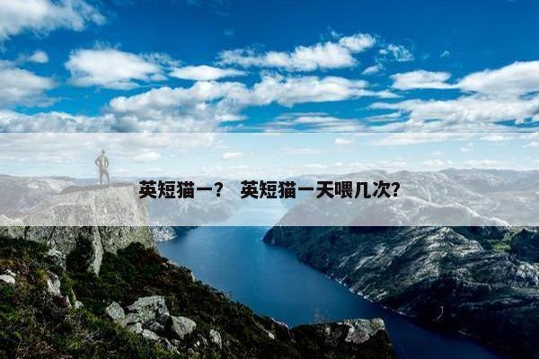 英短猫一？ 英短猫一天喂几次？