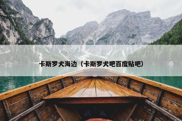 卡斯罗犬海边（卡斯罗犬吧百度贴吧）