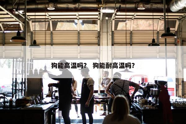 狗能高温吗？ 狗能耐高温吗？