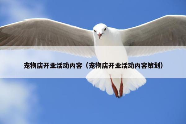 宠物店开业活动内容（宠物店开业活动内容策划）