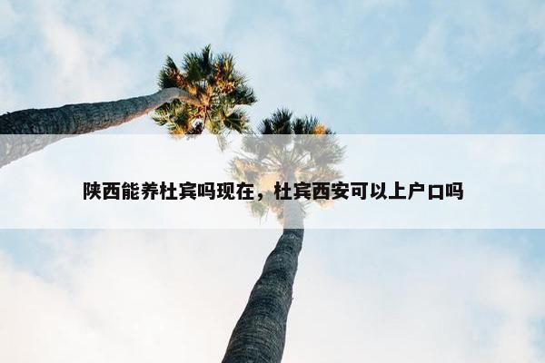陕西能养杜宾吗现在，杜宾西安可以上户口吗