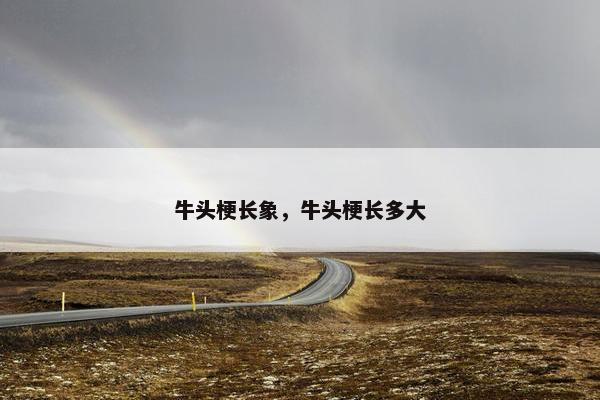 牛头梗长象，牛头梗长多大