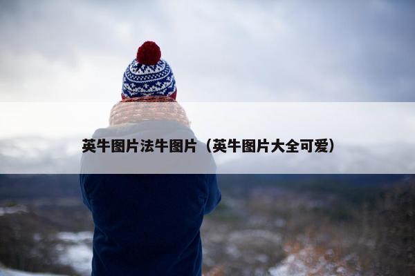 英牛图片法牛图片（英牛图片大全可爱）