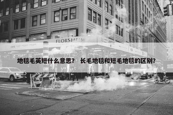 地毯毛英短什么意思？ 长毛地毯和短毛地毯的区别？