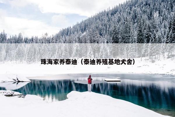 珠海家养泰迪（泰迪养殖基地犬舍）