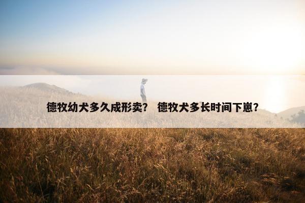 德牧幼犬多久成形卖？ 德牧犬多长时间下崽？