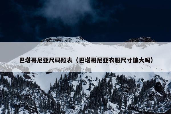 巴塔哥尼亚尺码照表（巴塔哥尼亚衣服尺寸偏大吗）