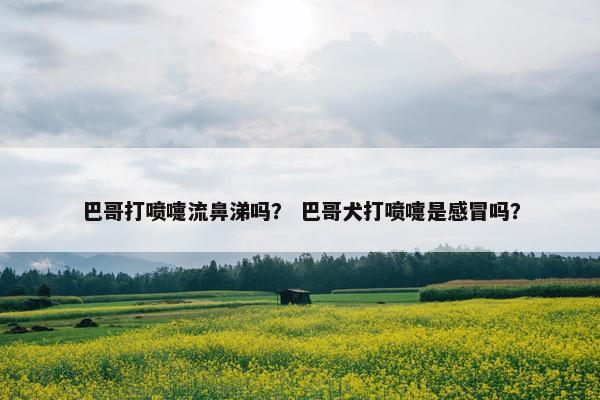 巴哥打喷嚏流鼻涕吗？ 巴哥犬打喷嚏是感冒吗？