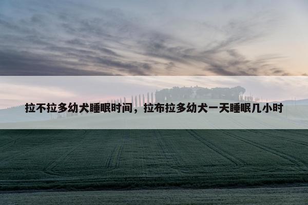 拉不拉多幼犬睡眠时间，拉布拉多幼犬一天睡眠几小时