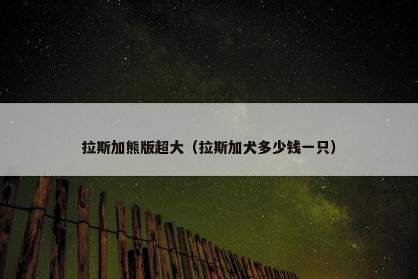 拉斯加熊版超大（拉斯加犬多少钱一只）