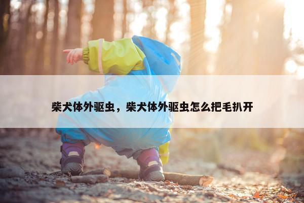 柴犬体外驱虫，柴犬体外驱虫怎么把毛扒开