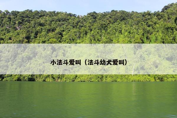 小法斗爱叫（法斗幼犬爱叫）