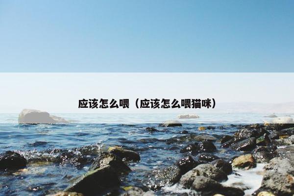 应该怎么喂（应该怎么喂猫咪）