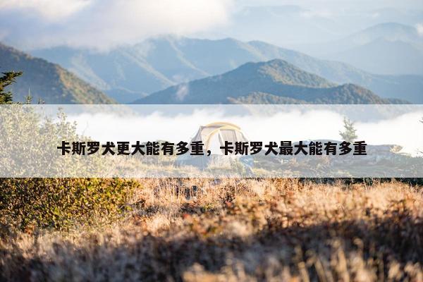 卡斯罗犬更大能有多重，卡斯罗犬最大能有多重