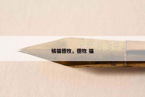 橘猫德牧，德牧 猫