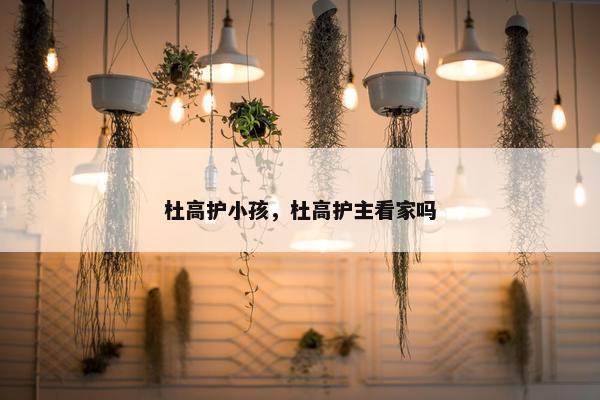 杜高护小孩，杜高护主看家吗