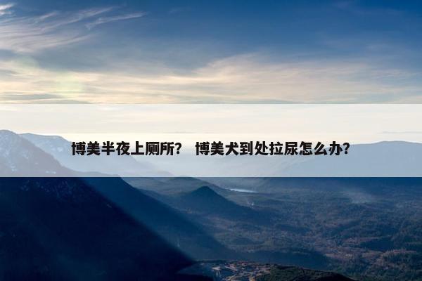 博美半夜上厕所？ 博美犬到处拉尿怎么办？