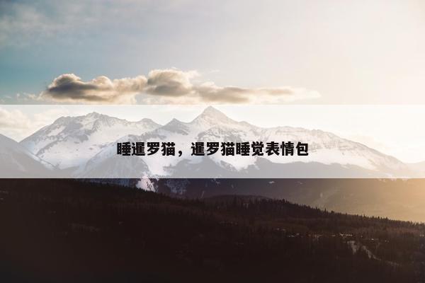 睡暹罗猫，暹罗猫睡觉表情包
