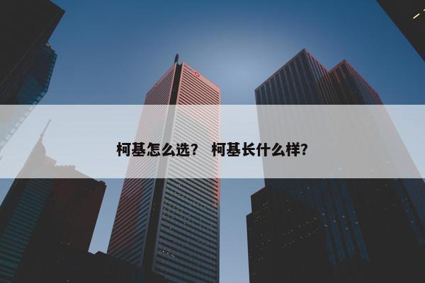 柯基怎么选？ 柯基长什么样？