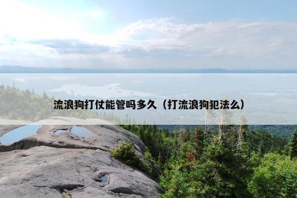 流浪狗打仗能管吗多久（打流浪狗犯法么）