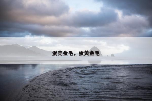 蛋壳金毛，蛋黄金毛