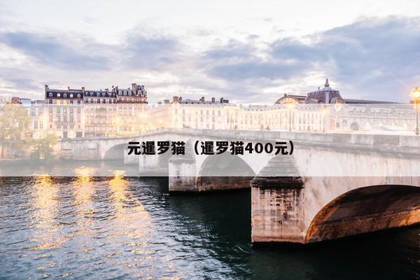 元暹罗猫（暹罗猫400元）