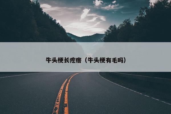 牛头梗长疙瘩（牛头梗有毛吗）