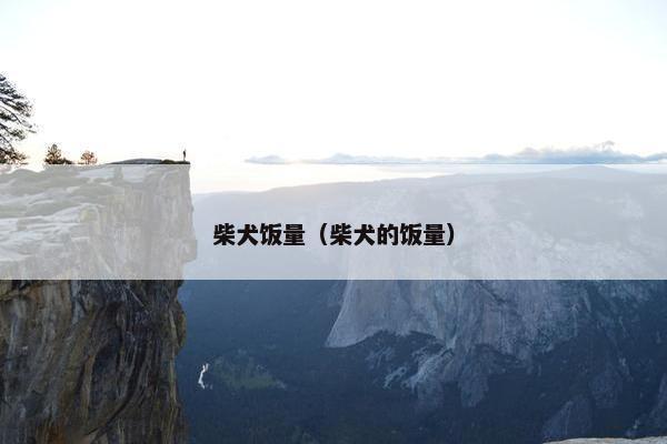 柴犬饭量（柴犬的饭量）