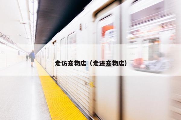 走访宠物店（走进宠物店）