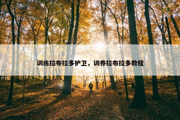 训练拉布拉多护卫，训养拉布拉多教程