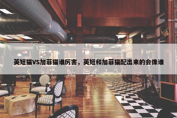 英短猫VS加菲猫谁厉害，英短和加菲猫配出来的会像谁