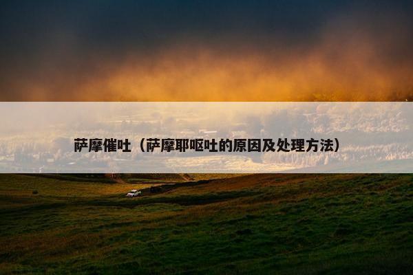 萨摩催吐（萨摩耶呕吐的原因及处理方法）