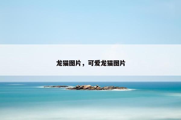 龙猫图片，可爱龙猫图片