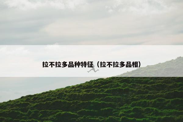 拉不拉多品种特征（拉不拉多品相）