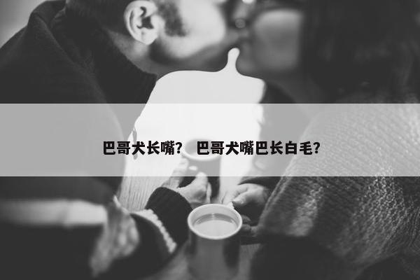 巴哥犬长嘴？ 巴哥犬嘴巴长白毛？
