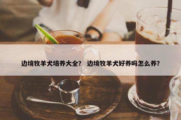 边境牧羊犬培养大全？ 边境牧羊犬好养吗怎么养？