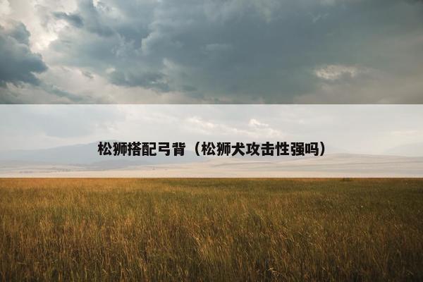 松狮搭配弓背（松狮犬攻击性强吗）