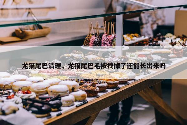 龙猫尾巴清理，龙猫尾巴毛被拽掉了还能长出来吗