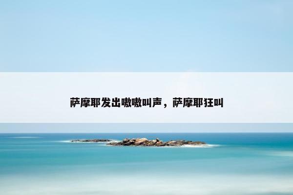 萨摩耶发出嗷嗷叫声，萨摩耶狂叫