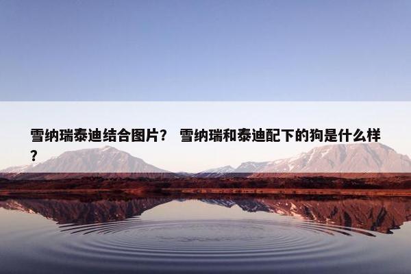 雪纳瑞泰迪结合图片？ 雪纳瑞和泰迪配下的狗是什么样？