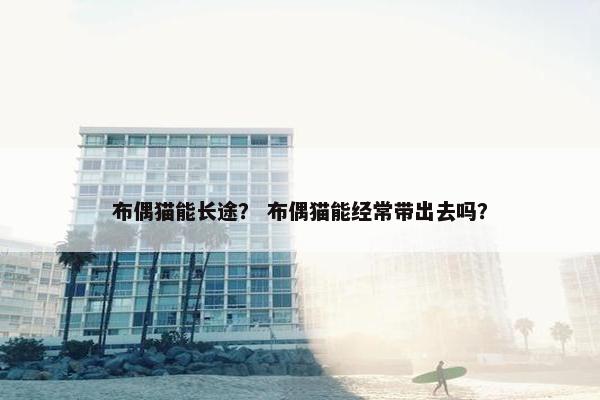布偶猫能长途？ 布偶猫能经常带出去吗？