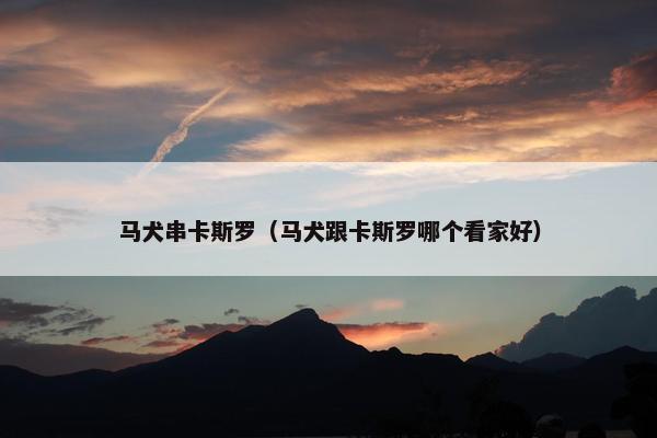 马犬串卡斯罗（马犬跟卡斯罗哪个看家好）
