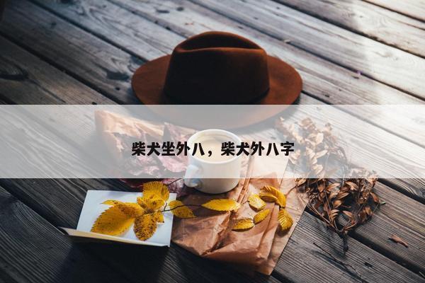 柴犬坐外八，柴犬外八字